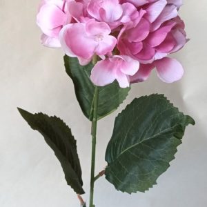 Haste Hortense Out. Rosa 70x12cm