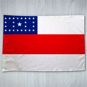 Bandeira Amazonas Estado