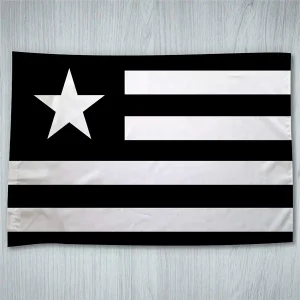 Bandeira Botafogo de Futebol e Regatas
