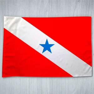 Bandeira Pará Estado