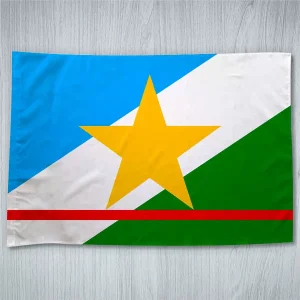 Bandeira Roraima Estado